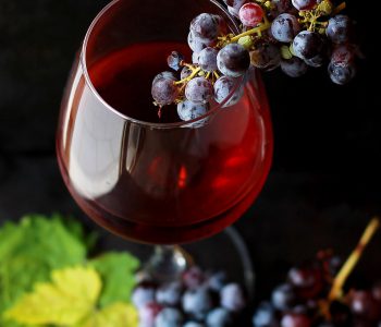 San Vito Romano Cantina Vitivinicola Il Merlo Carrarini Antonio
